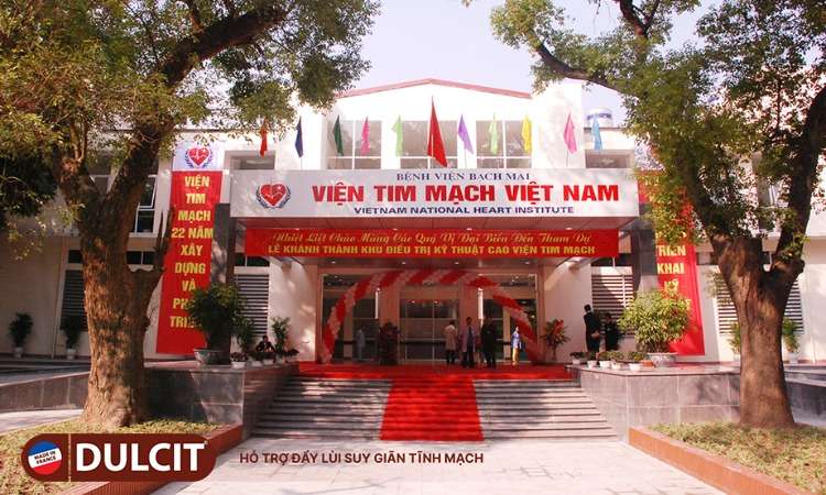 vien-tim-mach