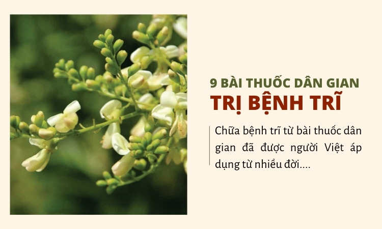 bai-thuoc-tri-benh-tri