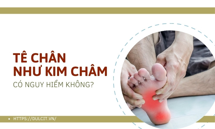 te-chan-nhu-kim-cham