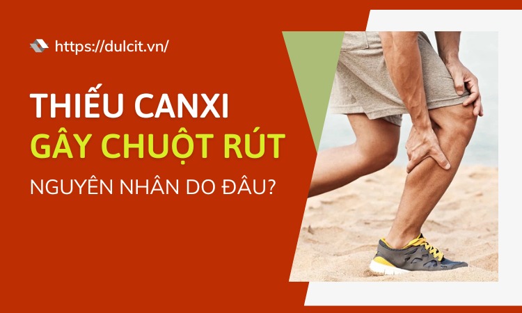 chuot-rut-do-thieu-canxi