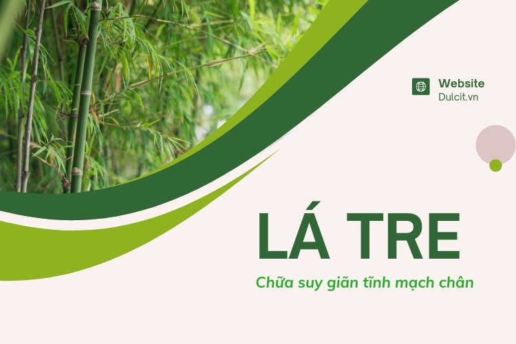 4. Những lưu ý khi sử dụng lá tre chữa suy giãn tĩnh mạch